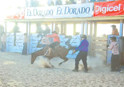 Rupununi Rodeo