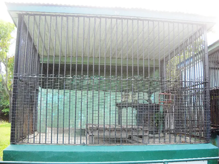 Empty Zoo Cage