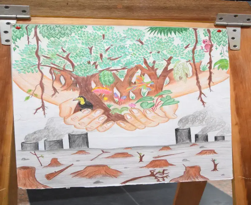 Aaliyah Amin of Christ Church copped the top prize in the Environmental art competition.