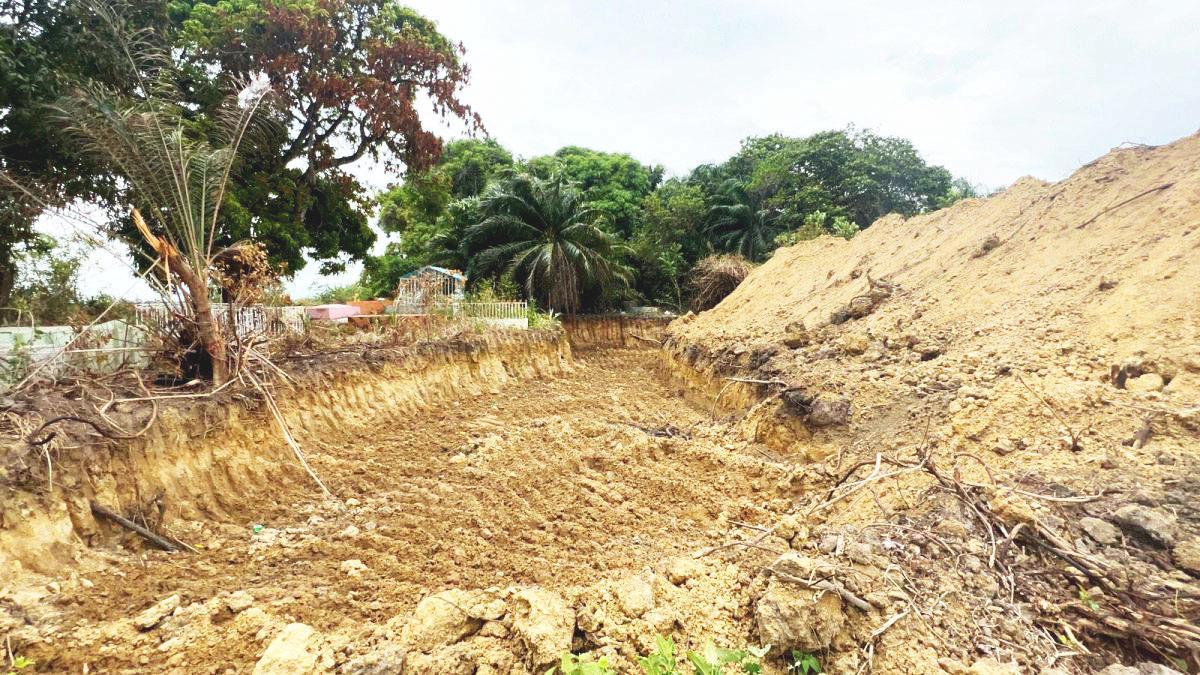 The excavated area