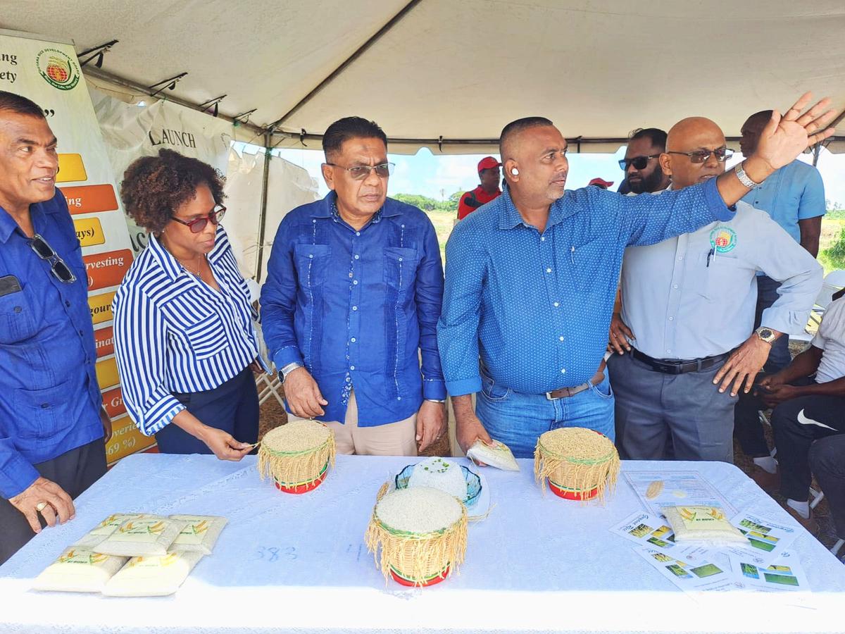 Agriculture Minister Zulfikar Mustapha (third, left), FAO Rep Dr Gillian Smith and Chief Scientist of GRDB Mahendra Persaud (arm raised) along with other officials at the unveiling of GRDB’s high-yielding rice variety