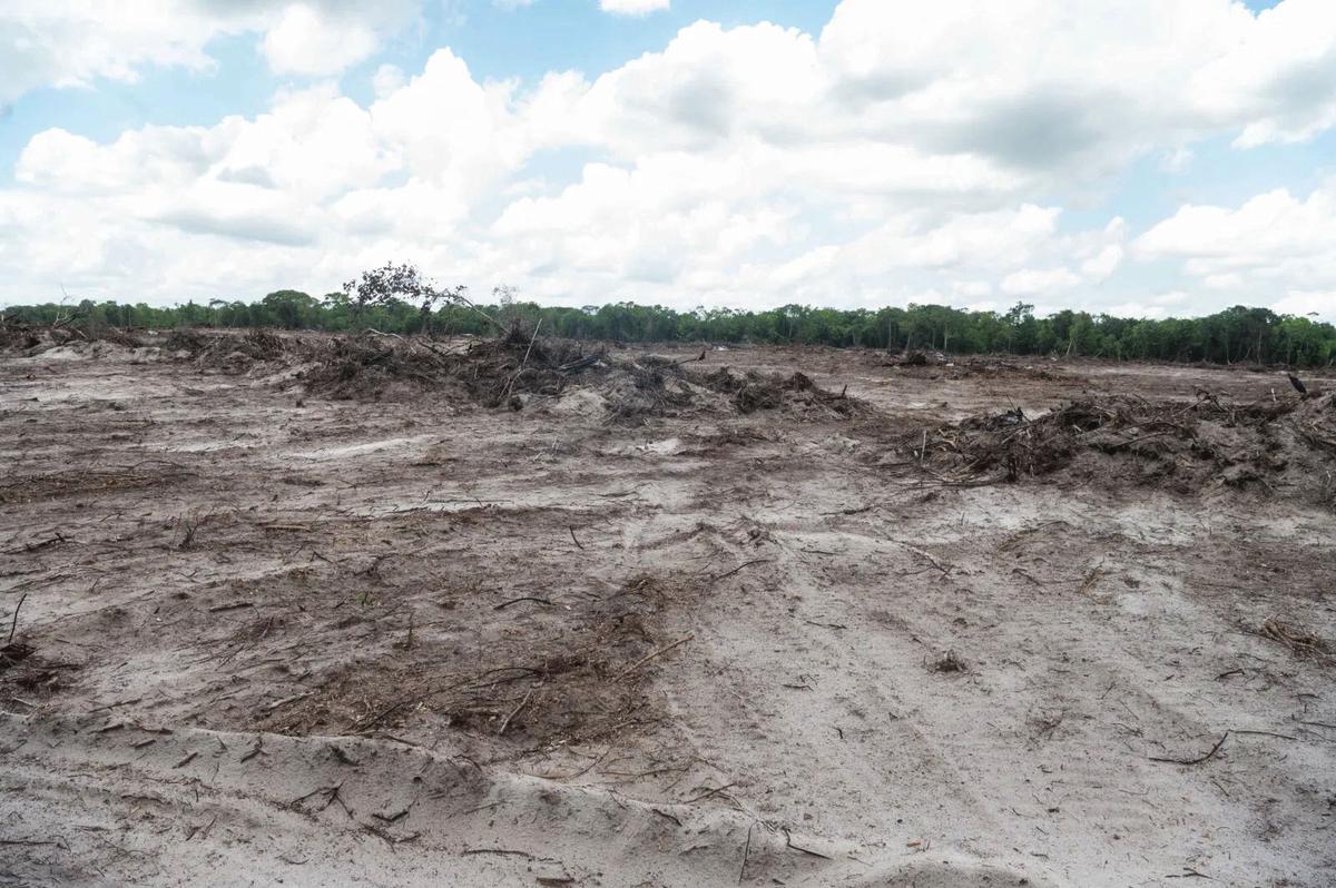 Some of the land being prepared (DPI photo)